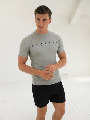 Blakely Apex Active T-Shirt Açık Gri | ZJD105247