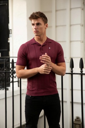 Blakely Finsbury Polo Shirt Bordo | UNZ042738