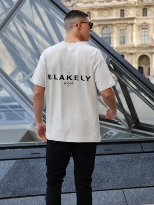 Blakely Noir II Relaxed T-Shirt Bone | IVD731482